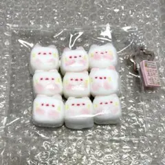 海外スクイーズ