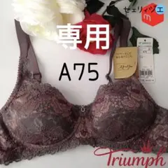 ワコール 重力に負けない バストケアBra ブラジャーA75 BL