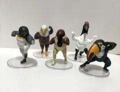 ガチムチ鳥　まとめ売り　バラ売りなし 2025年最新】ガチムチ鳥の人気アイテム - メルカリ