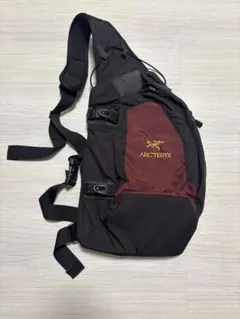 オールド アークテリクス ARC'TERYX クイバー アロー マンティス 2025年最新】ARC'TERYX Quiverの人気アイテム - メルカリ