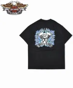 HARLEY-DAVIDSON Hawaii MAUI Tee M