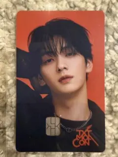 匿名配送　新品未使用　スビン NAMANEカード ナマネカード