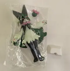 モンコレ　マスカーニャ