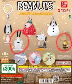 PEANUTS めじるしアクセサリー