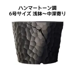 植木鉢 3Dプリンター鉢 7号 中深〜深寄り 塊根 多肉 アガベ 象牙宮