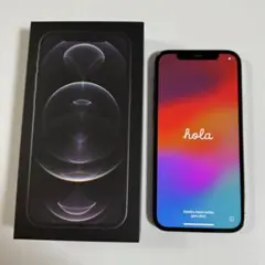 iPhone 12 pro グラファイト 256 GB docomo