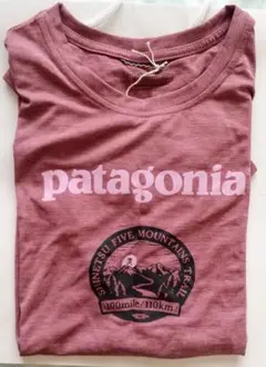 【新品未使用】patagonia 信越五岳 参加賞Tシャツ S