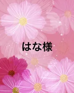 はな様【10/16まで】