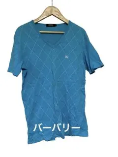 【美品】BURBERRY バーバリー Vネック半袖Tシャツ 水色　上品カジュアル