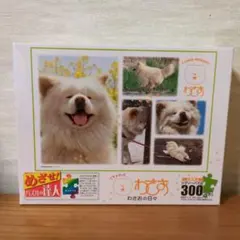 Item thumbnail for item 9b415a2e-888f-4b42-8fa5-125e67c45119