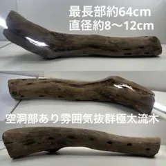 Item thumbnail for item 901c4a72-49f5-4f5a-9169-8bbfb11ac751