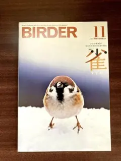BIRDER 2025年11月号　雀特集