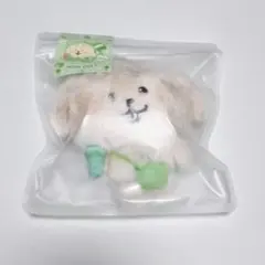NCT WISH BAKERY 30cm WISHDOLL ジェヒ Jaehee - メルカリ
