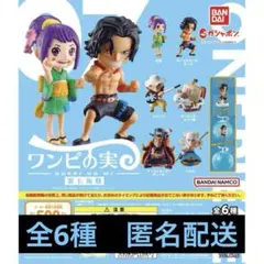 2025年最新】ワンピの実まとめ売りの人気アイテム - メルカリ