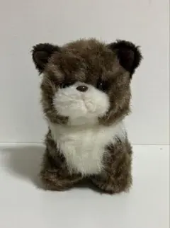 pelucha ペルーチャ 東京 ぬいぐるみ ペルシャ猫 グレー 猫 レトロ