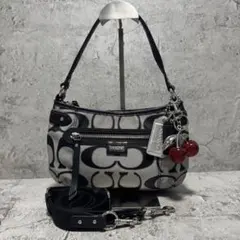 COACH Y2K Signature Accessory Pouch BK