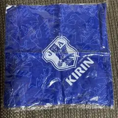 Item thumbnail for item 318ffaf9-8e77-4dfb-8631-8d0f31501483