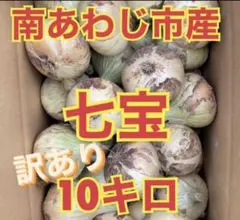 淡路島玉ねぎ訳あり10kg農家直送南あわじ - メルカリ