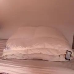 羽毛布団 布団・毛布