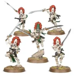 ぬ*じ様 Warhammer 40,000 アエルダリ ハーレクイン セット - メルカリ