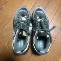 LACOSTE スポーツスニーカー グリーン/ベージュ