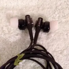 Item thumbnail for item 1bda6391-87b5-4927-96f8-39fde4e20f66