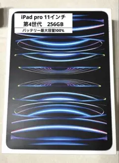 11インチ iPad Pro 第4世代 Wi-Fi 256GB