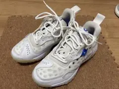 NIKE JORDAN DELTA 2_ジョーダン デルタ2 25cm 美品のサムネイル