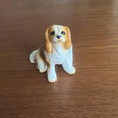 miniature planet キャバリア•キング•チャールズ•スパニエルのサムネイル