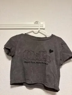 EMODAロゴ刺繍 クロップド丈 Tシャツ チャコールグレーのサムネイル