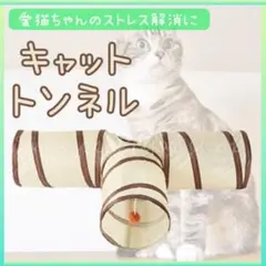 Item thumbnail for item c7e6d387-775f-4553-b00f-679fd65c20c0