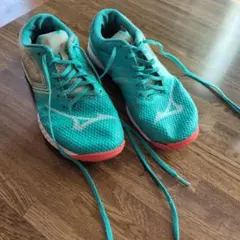 Item thumbnail for item bb4ea74a-6748-4c93-a41d-c66c96266a9b