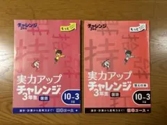2026年最新】チャレンジ3年生 2023の人気アイテム - メルカリ