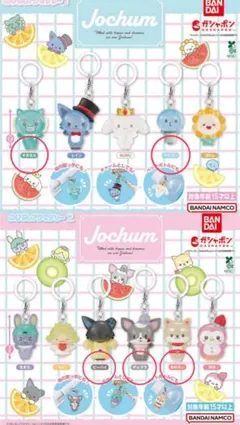 JOCHUM めじるしアクセサリー　５種