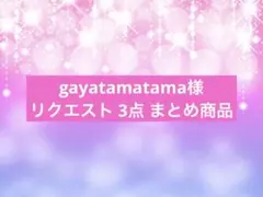 gayatamatama様 リクエスト 3点 まとめ商品