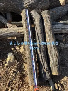 まっしゅ様専用