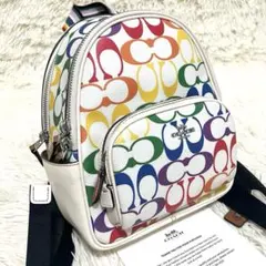 【未使用級】COACH＊ミニリュック シグネチャー レインボー