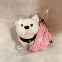 2025年最新】THEboyz エリック ぬいぐるみの人気アイテム - メルカリ