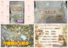 大好評♪モモンガオリジナルフード800g(400g×2) - メルカリ