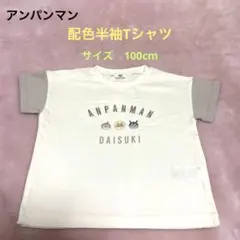 【新品】ドキンちゃん・アンパンマン・ばいきんまん配色Tシャツ　サイズ100cm