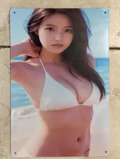 ブリキ看板 29