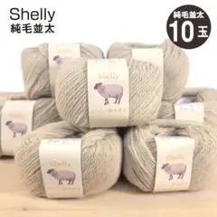 シェリー 純毛並太 ウール100％【元廣】col.2002（ベージュ）－10玉