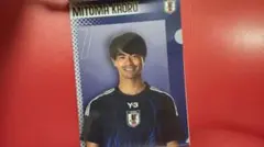 むしめがね様 リクエスト 2点 まとめ商品