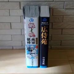 銀魂　キャラクターリミックス　坂田銀時 初版 ＆銀魂公式ファンブック　広侍苑