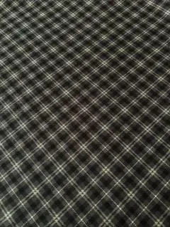 （現品限り）生地　50cm　チェック　綿100%