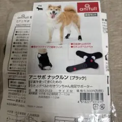 아니사 포나크룽 블랙