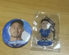 ラグビーリーグワン　埼玉ワイルドナイツ　長田選手キーホルダー　缶バッジのサムネイル