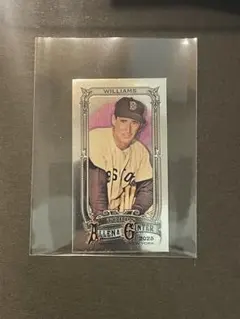 Ted Williams Chrome Mini Allen & Ginter
