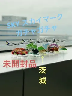 スカイマーク就航地 アクリルミニジオラマ 茨城 ガチャガチャ