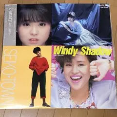 レコード セット